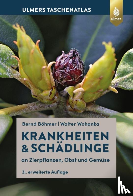 Böhmer, Bernd, Wohanka, Walter - Krankheiten & Schädlinge an Zierpflanzen, Obst und Gemüse