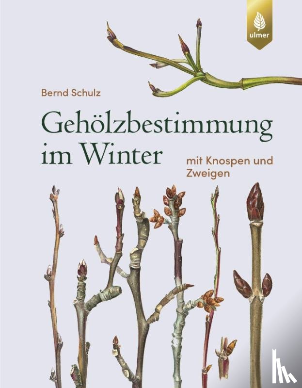 Schulz, Bernd - Gehölzbestimmung im Winter