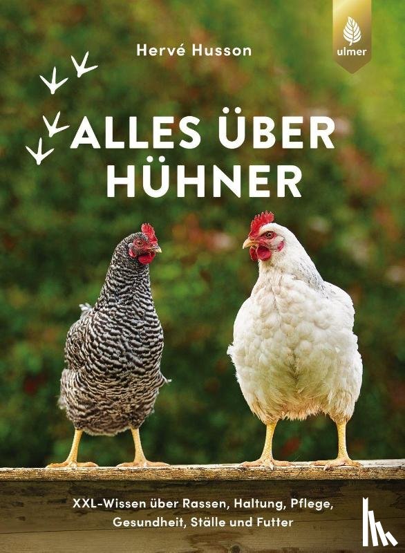 Husson, Hervé - Alles über Hühner