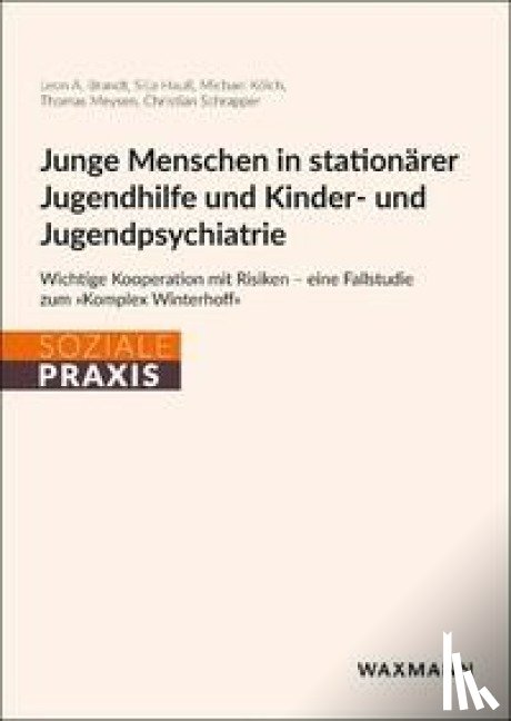 Brandt, Leon A., Hauß, Silja, Kölch, Michael, Meysen, Thomas - Junge Menschen in stationärer Jugendhilfe und Kinder- und Jugendpsychiatrie