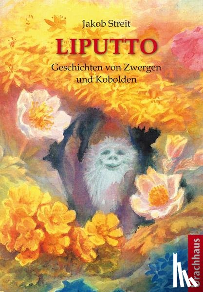 Streit, Jakob - Liputto