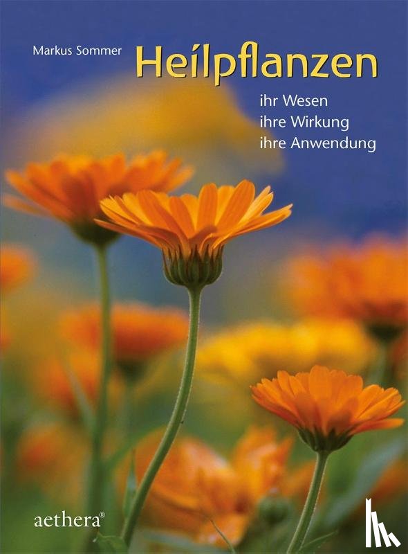 Sommer, Markus - Heilpflanzen