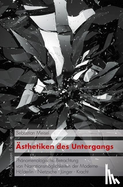 Meisel, Sebastian - Ästhetiken des Untergangs