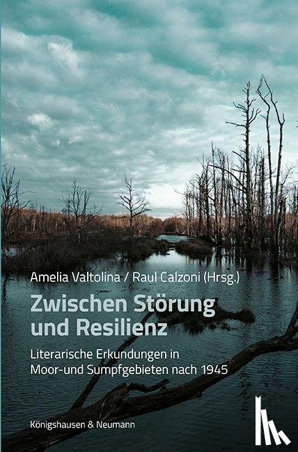  - Zwischen Störung und Resilienz