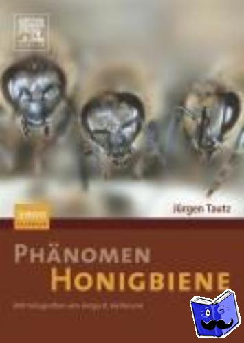 Tautz, Jurgen, Heilmann, Helga R. - Phanomen Honigbiene