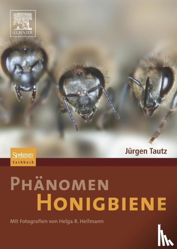 Tautz, Jurgen, Heilmann, Helga R. - Phanomen Honigbiene