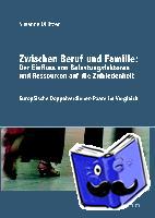Dillitzer, Susanne - Zwischen Beruf und Familie: Der Einfluss von Belastungsfaktoren und Ressourcen auf die Zufriedenheit - Europäische Doppelverdiener-Paare im Vergleich