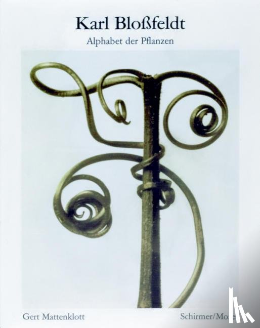 Bloßfeldt, Karl - Karl Blossfeldt: Alphabet of Plants