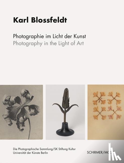 Blossfeldt, Karl - Photographie im Licht der Kunst / Photography in the Light of Art