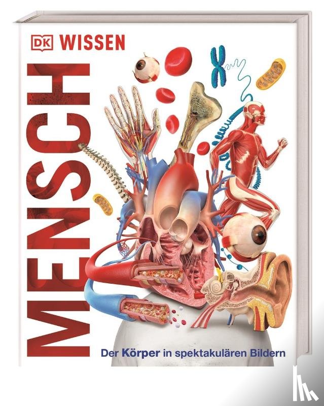  - Wissen - Mensch