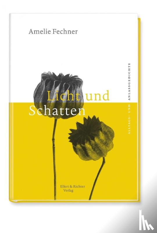Fechner, Amelie - Licht und Schatten