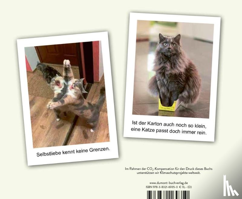  - Hilfe, meine Katze ist kaputt