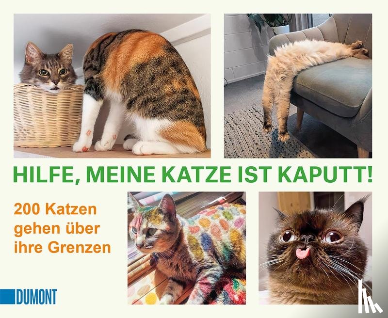  - Hilfe, meine Katze ist kaputt