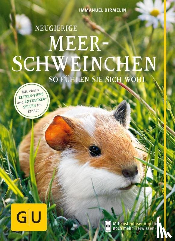 Birmelin, Immanuel - Neugierige Meerschweinchen