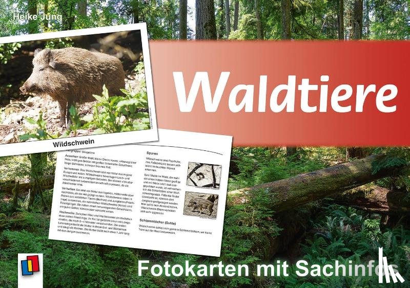 Jung, Heike - Waldtiere - Fotokarten mit Sachinfos