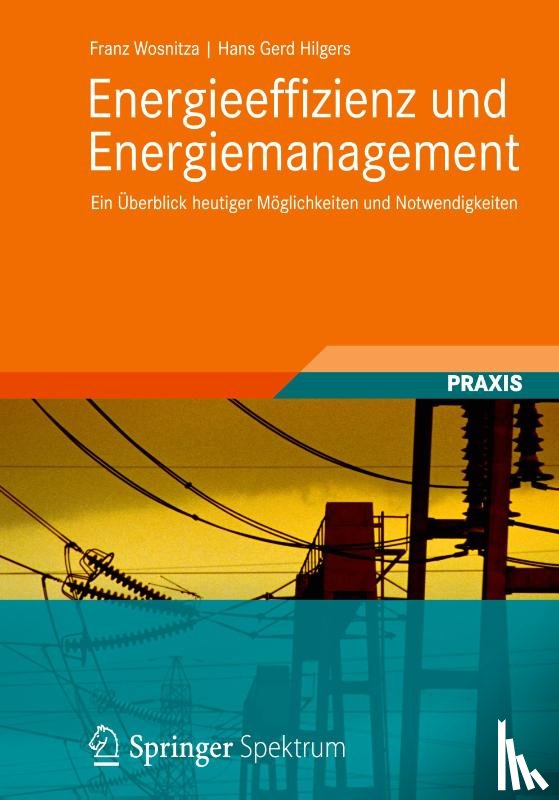 Franz Wosnitza, Hans Gerd Hilgers - Energieeffizienz Und Energiemanagement