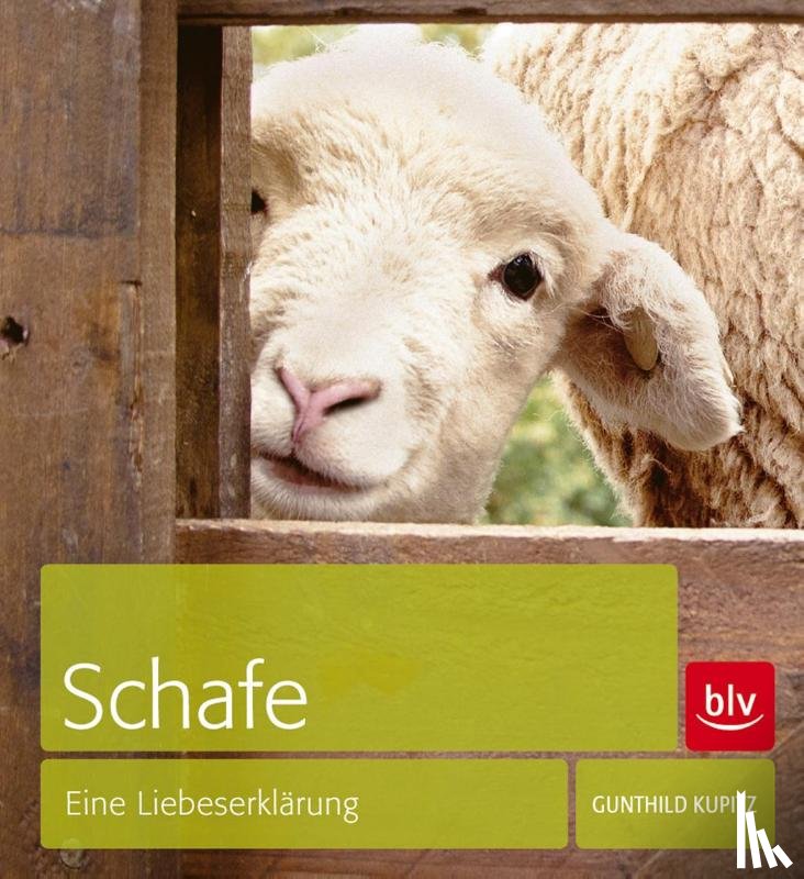 Kupitz, Gunthild - Schafe