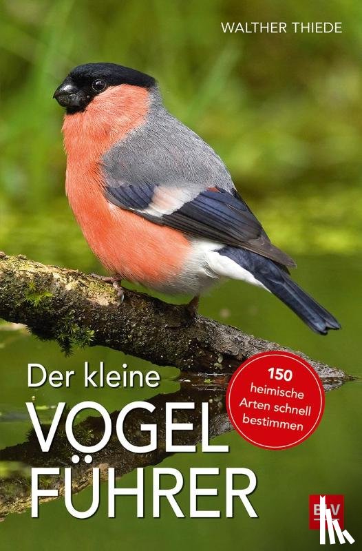 Thiede, Walther - Der kleine Vogelführer