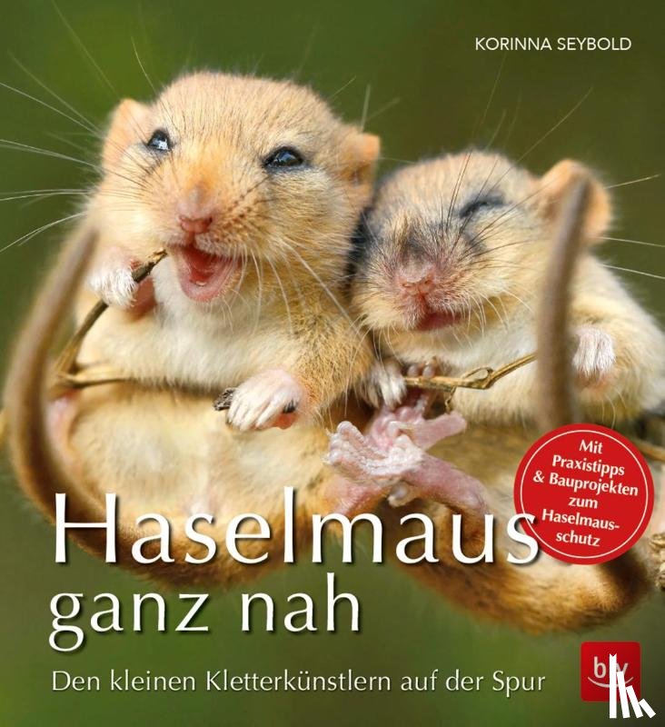 Seybold, Korinna - Haselmaus ganz nah