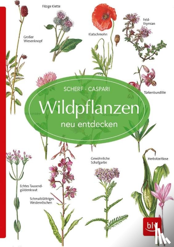 Caspari, Claus, Scherf, Gertrud - Wildpflanzen neu entdecken