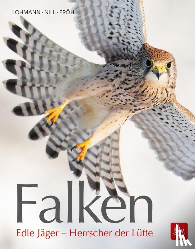 Lohmann, Michael - Falken