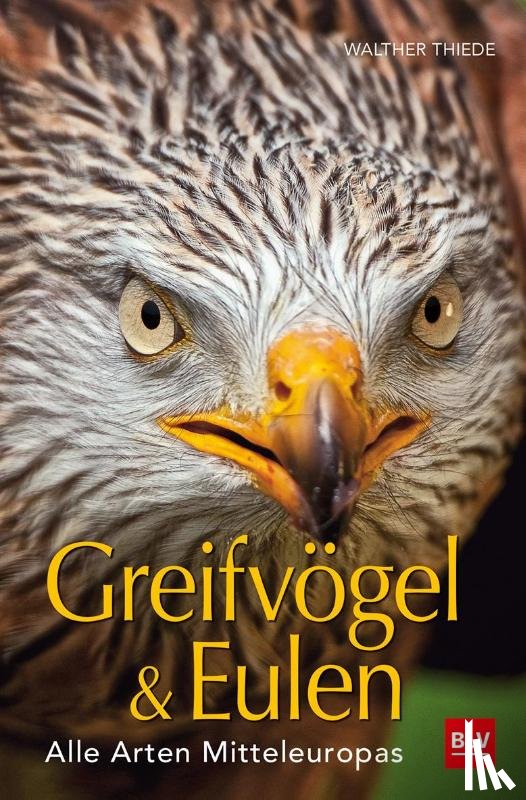 Thiede, Walther - BLV Greifvögel & Eulen