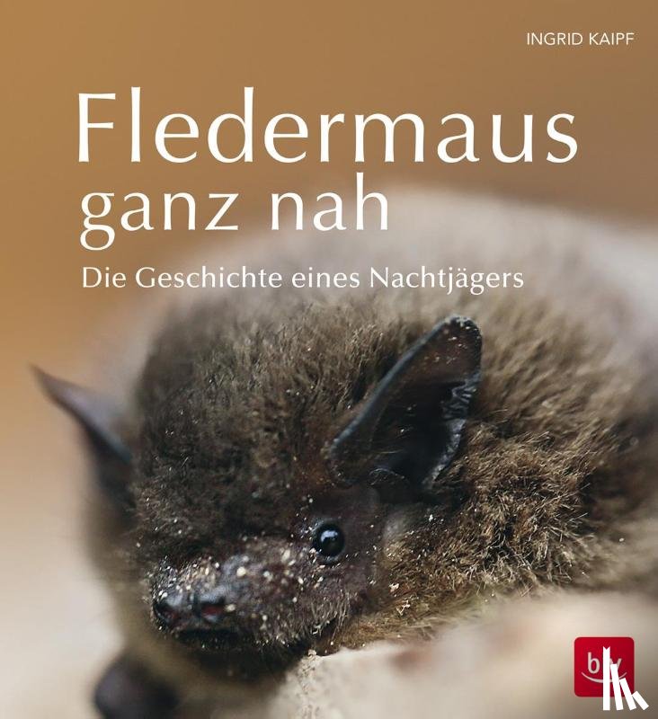 Kaipf, Ingrid - Fledermaus ganz nah