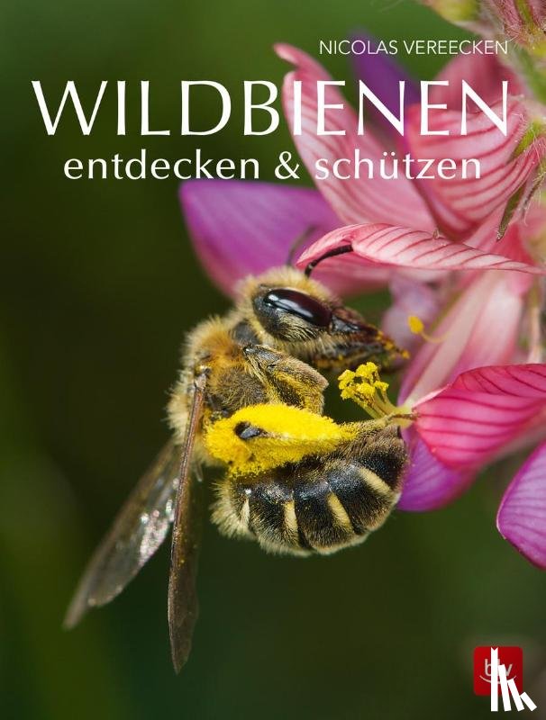 Vereecken, Nicolas - Wildbienen entdecken & schützen