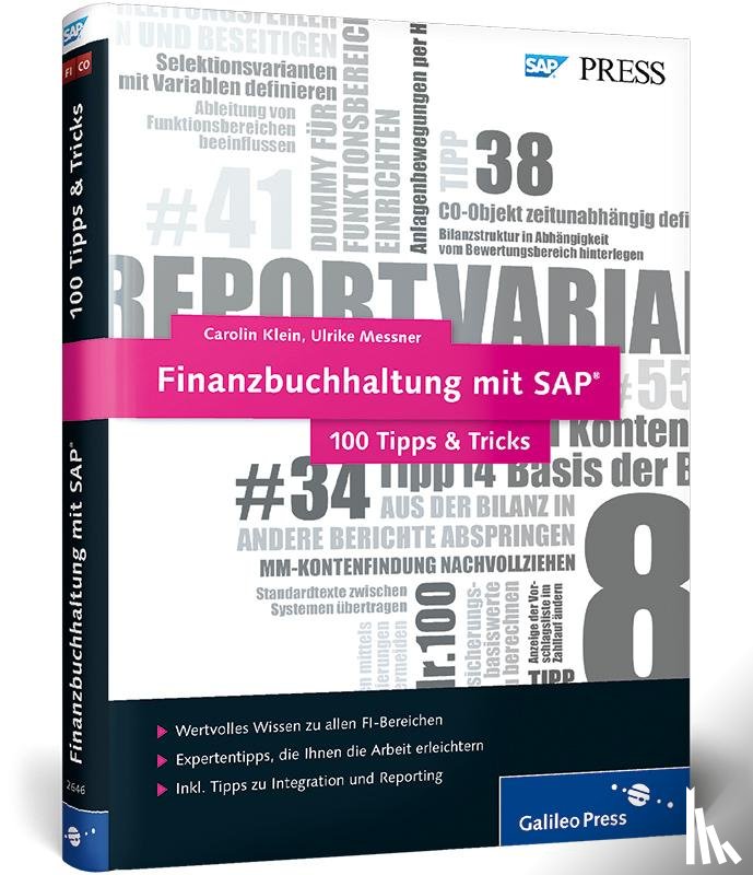 Klein, Carolin, Messner, Ulrike - Finanzbuchhaltung mit SAP - 100 Tipps & Tricks