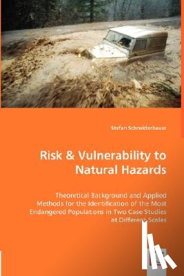 Schneiderbauer, Stefan - Risk & Vulnerability to Natural Hazards