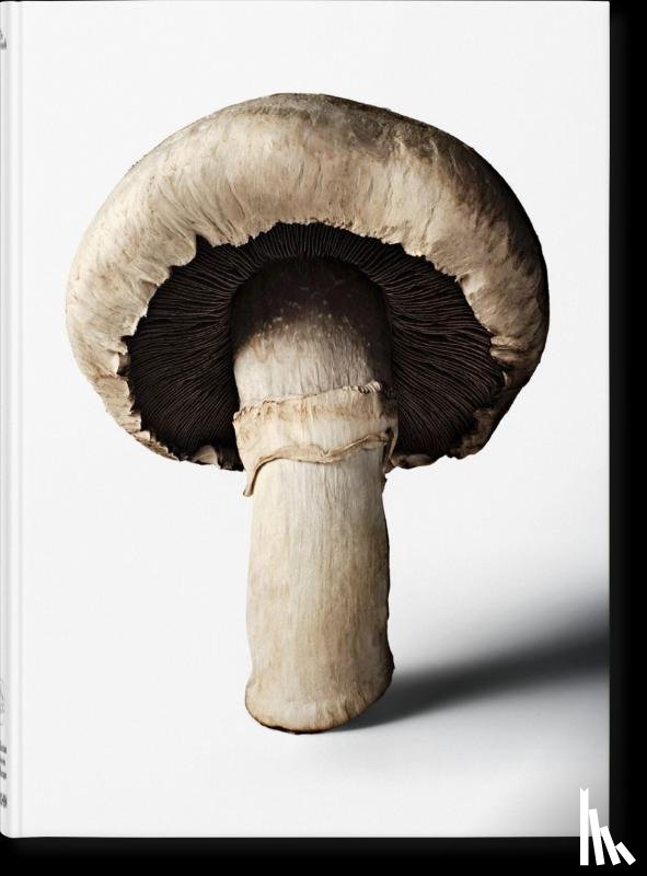 The Gourmand - The Gourmand's Mushroom. A Collection of Stories & Recipes