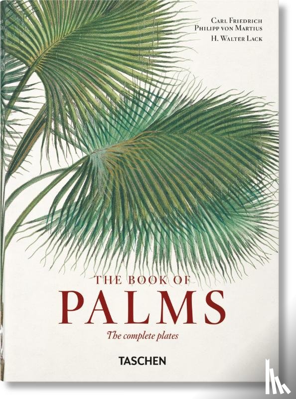 Lack, H. Walter - Martius. The Book of Palms. 40th Ed.