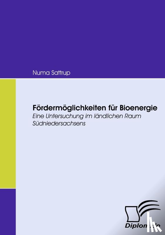Sattrup, Numa - Foerdermoeglichkeiten fur Bioenergie