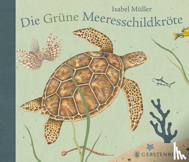 Müller, Isabel - Die Grüne Meeresschildkröte