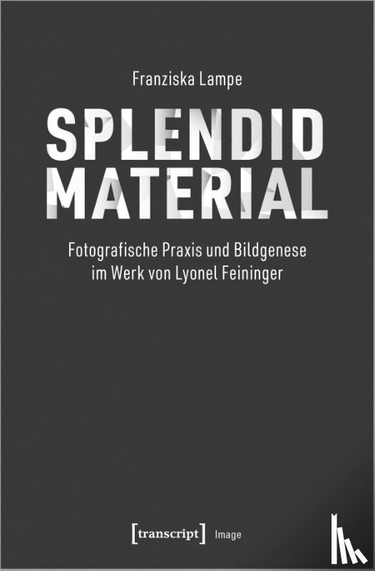 Lampe, Franziska - Splendid Material - Fotografische Praxis und Bildgenese im Werk von Lyonel Feininger