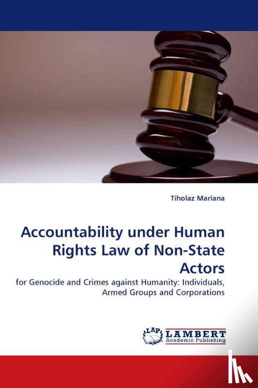 Mariana, Tiholaz - Accountability Under Human Rights Law of Non-State Actors