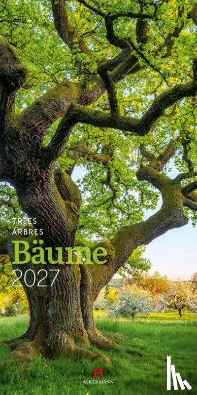 Ackermann Kunstverlag GmbH - Bäume Kalender 2027