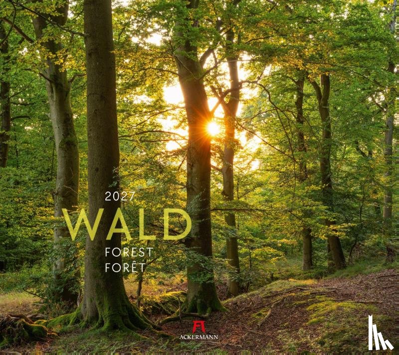 Ackermann Kunstverlag GmbH - Wald Kalender 2027