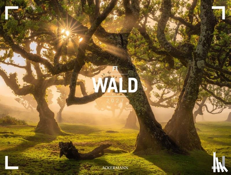 Ackermann Kunstverlag GmbH - Wald Gallery Kalender 2027