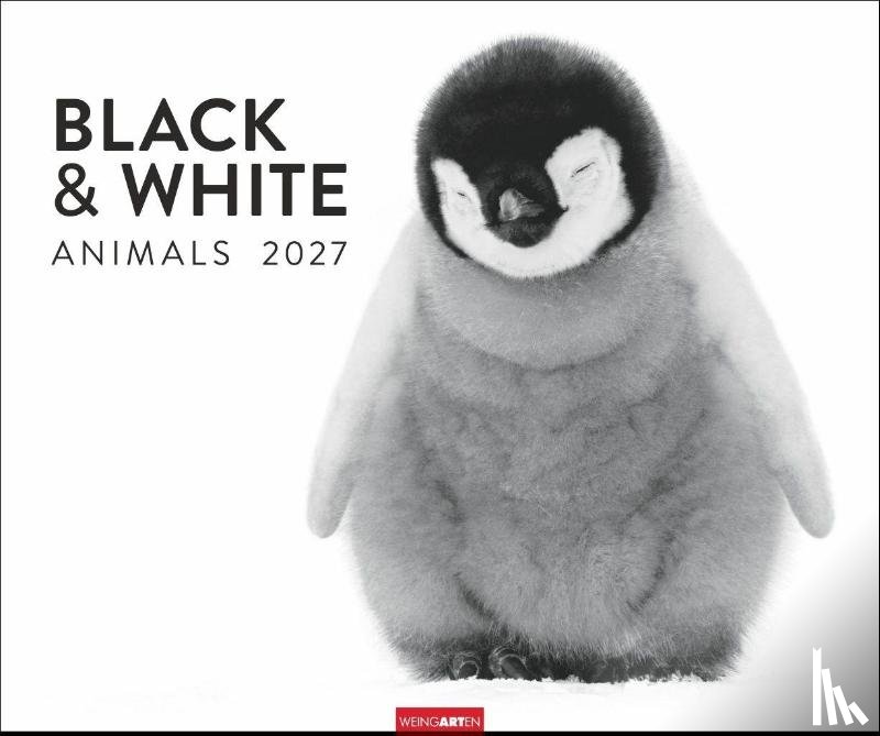  - Black & White Animals 2027