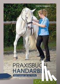 Magiera, Arlette - Praxisbuch Handarbeit