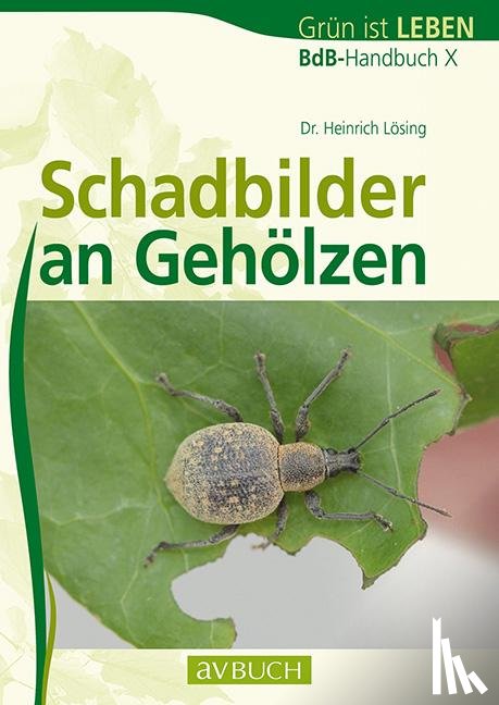 Lösing, Heinrich - Schadbilder an Gehölzen