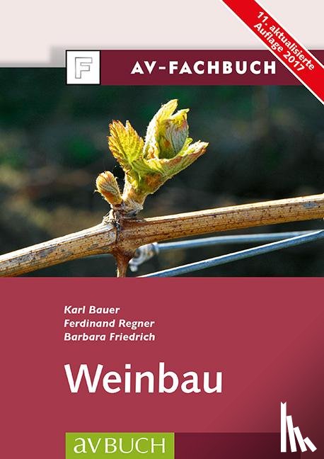Bauer, Karl, Regner, Ferdinand, Friedrich, Barbara - Weinbau