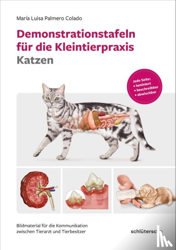Palmero Colado, María Luisa - Demonstrationstafeln für die Kleintierpraxis Katzen
