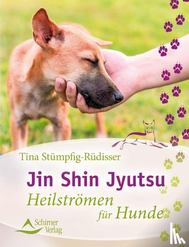 Stümpfig-Rüdisser, Tina - Jin Shin Jyutsu