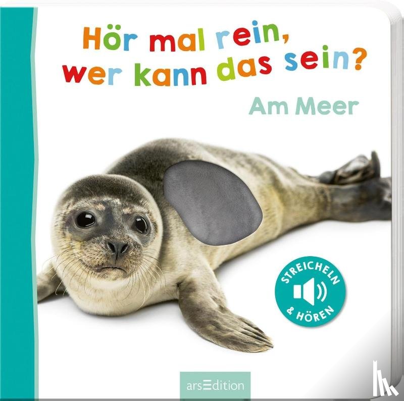 - Hör mal rein, wer kann das sein? Am Meer
