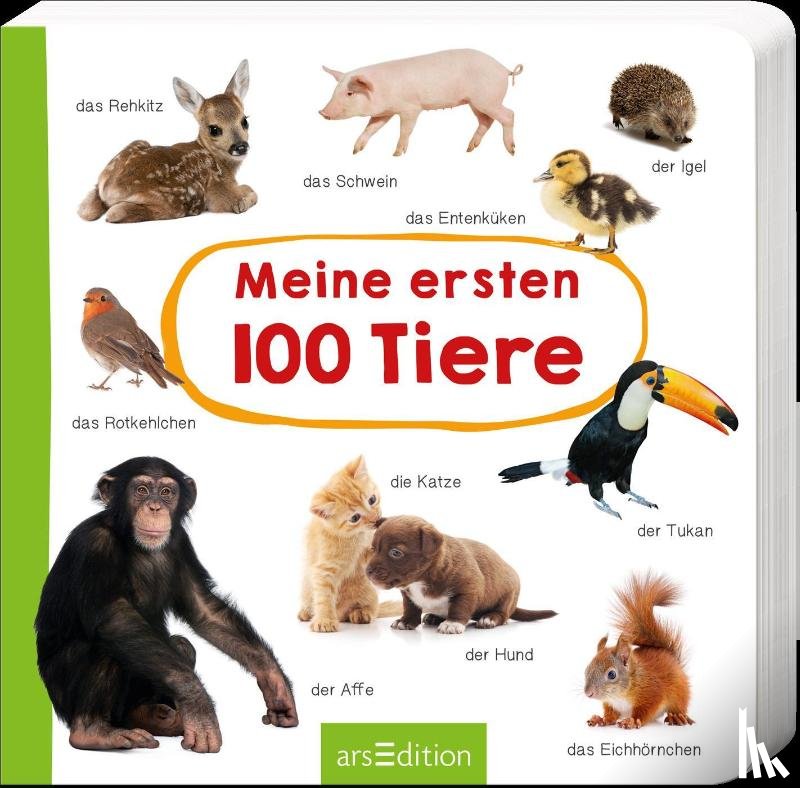  - Meine ersten 100 Tiere