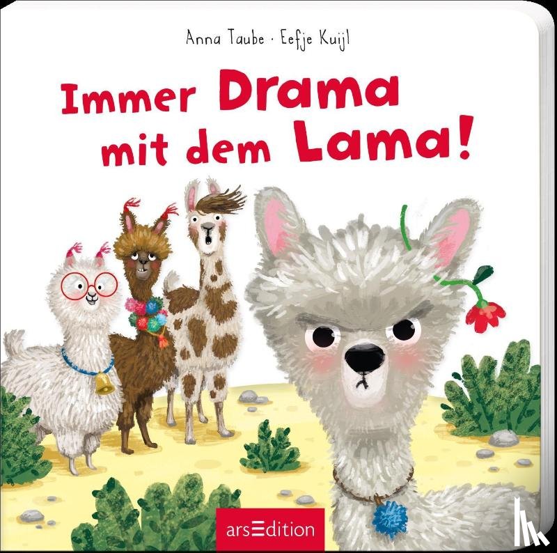Taube, Anna - Immer Drama mit dem Lama
