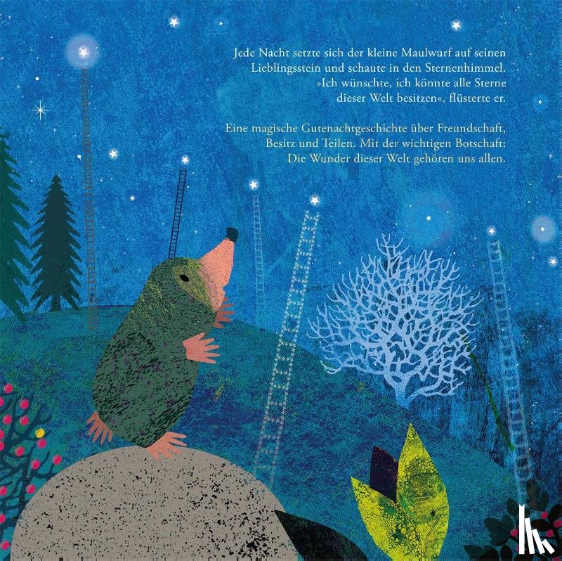 Teckentrup, Britta - Der Maulwurf und die Sterne