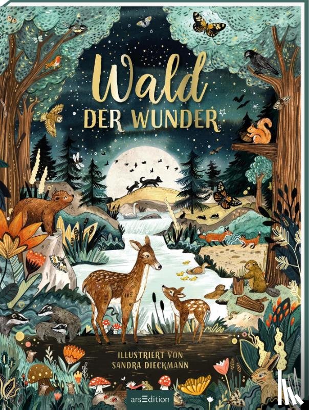  - Wald der Wunder